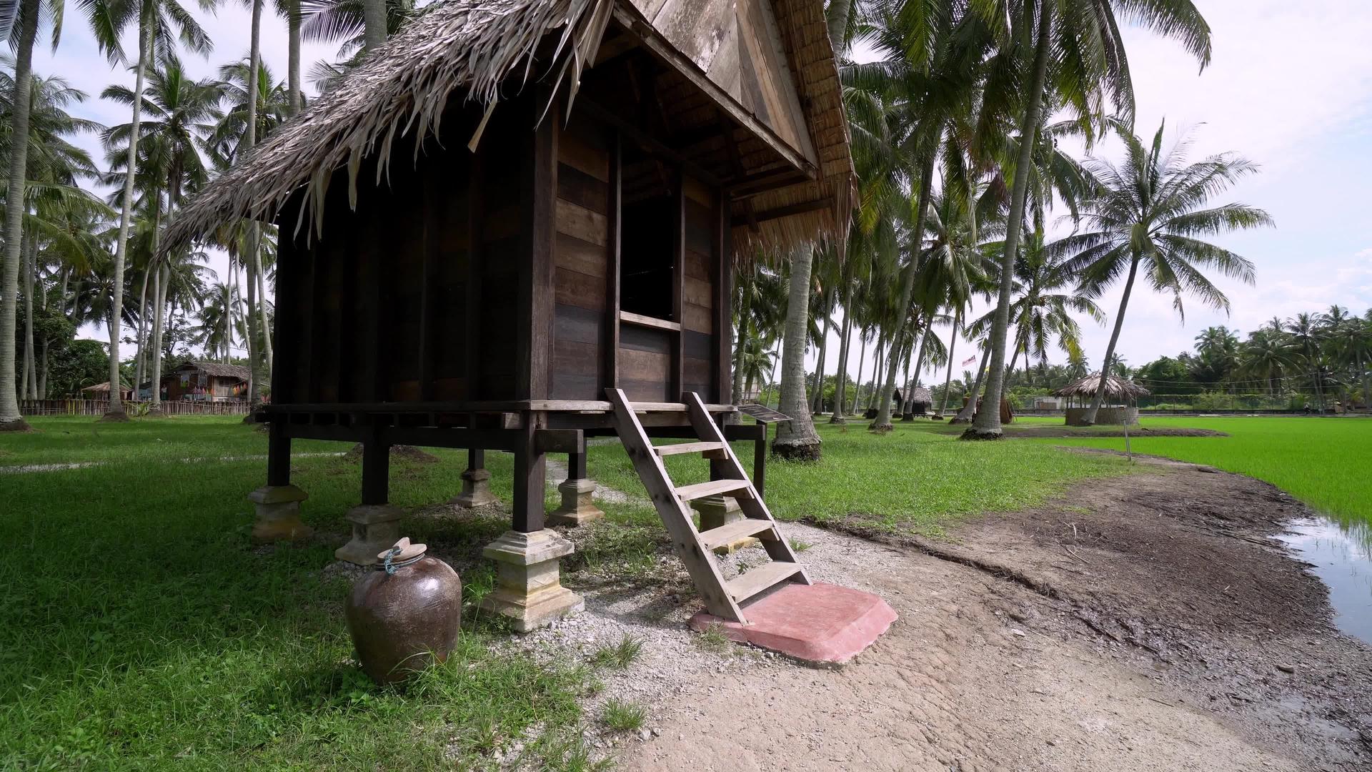 倾斜的Kampung房子里有椰子树视频的预览图