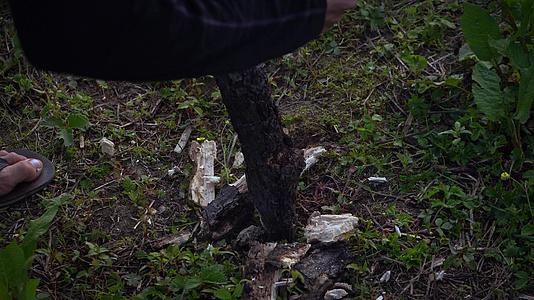 一个人白天在马那利岛的梅拉里海用斧头砍树枝因为纳卡帕列什视频的预览图