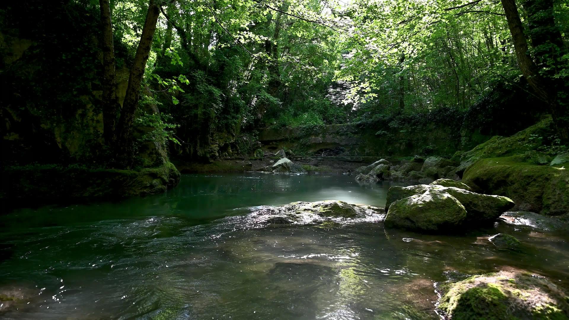 从大理石瀑布流出的森林中的河流视频的预览图