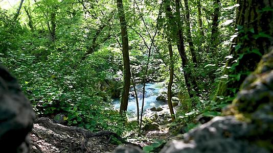 从大理石瀑布流出的森林中的河流视频的预览图