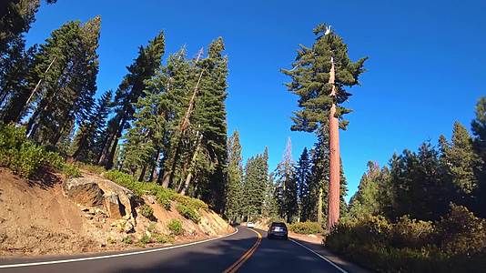 亚述州加利福尼亚州加利福尼亚州叶西米特国家公园的美丽风景之路视频的预览图