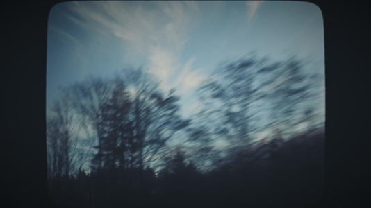 冬天开车穿过森林路视频的预览图