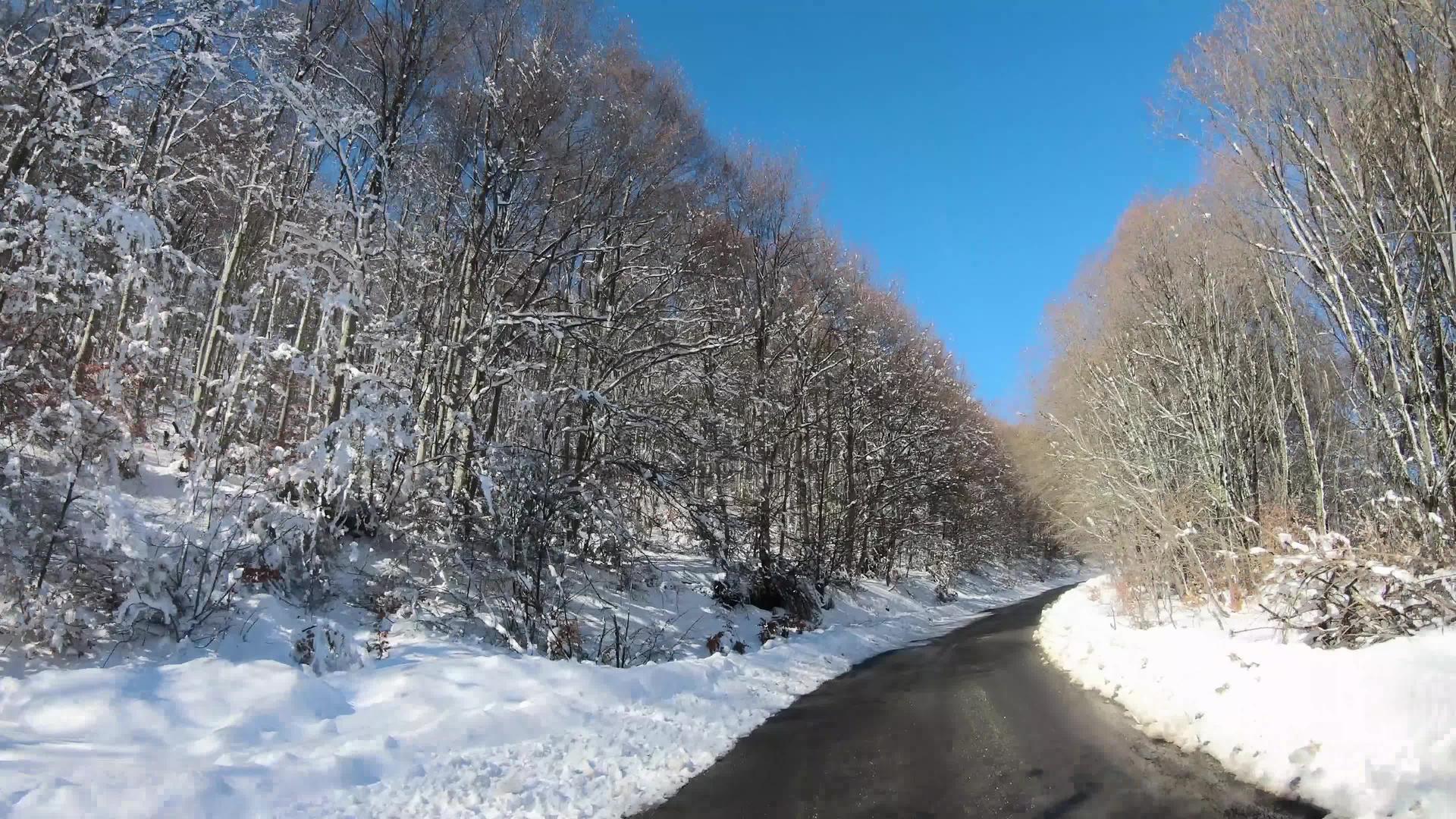 在阳光明媚的媚的冬天开车视频的预览图