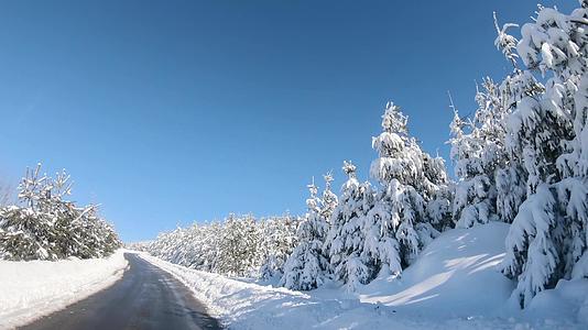 在山路上驾驶第一视角的汽车穿过长青树的山路令人惊叹的冬天视频的预览图