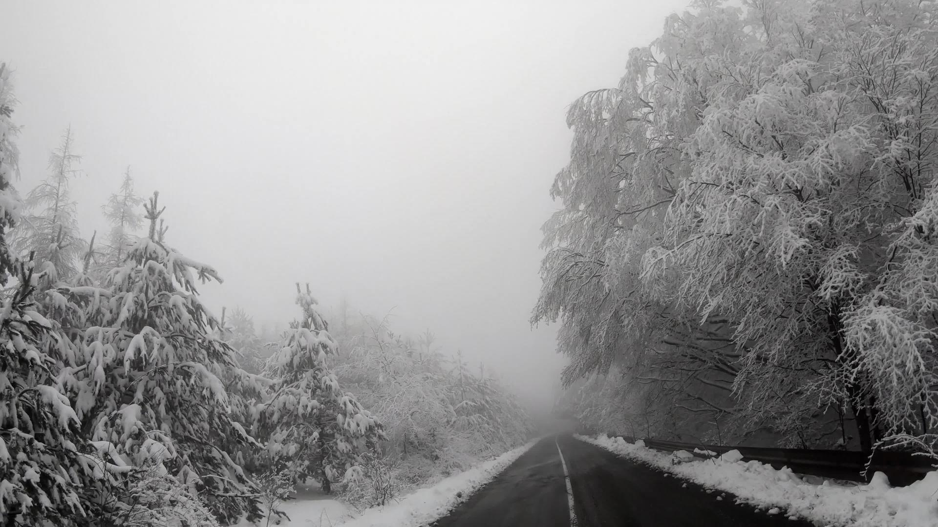 冬季山公路低能见度穿过雾视频的预览图