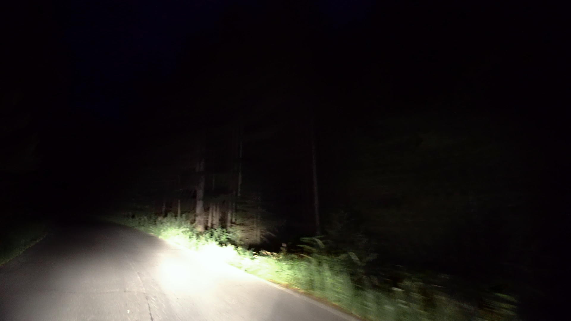 在Freest山地乡村公路夜间行驶视频的预览图