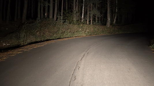 林地第一视角山上农村夜间道路驾驶车辆视频的预览图