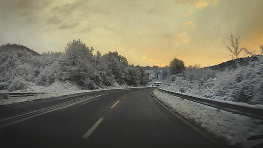 日出时冬天在农村道路上开车穿过雪松树林视频的预览图