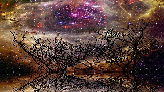 环湖和圆光影干树上的星云系统反射镜表面水面镜像视频的预览图