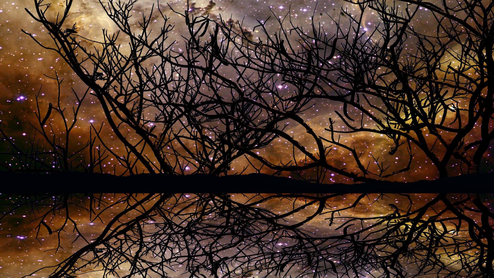 水镜和星云银系统反射在湖面和环形干树上视频的预览图