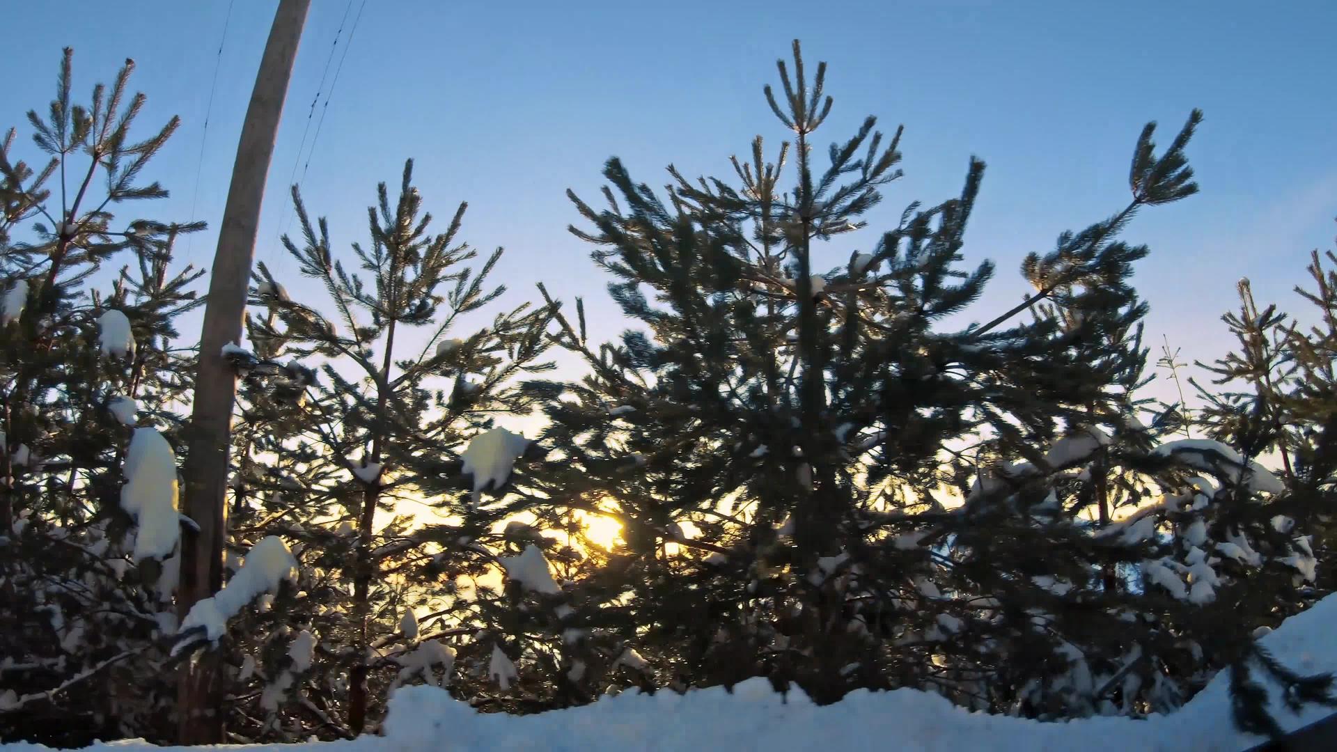 在山路上车厢旁的阳光照耀着日落树上覆盖着雪松视频的预览图