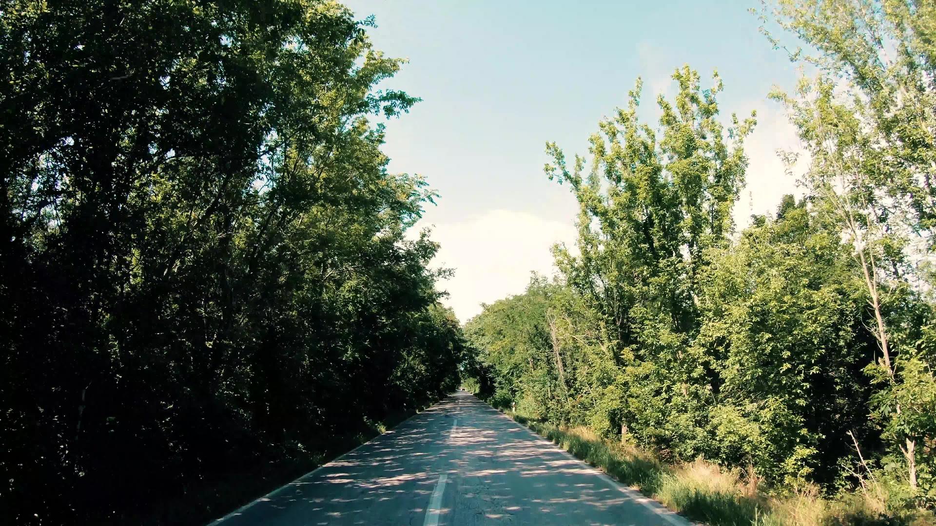 在农村公路上使用林树隧道视频的预览图
