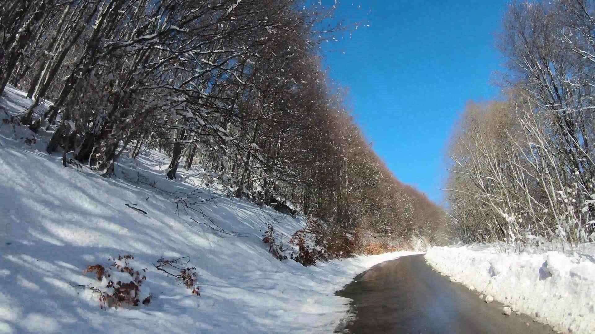 冬季公路野生林路冬季松林雪覆盖树木视频的预览图