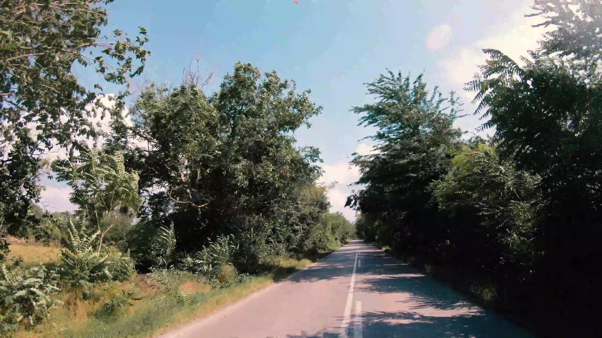农村公路穿过树木隧道的拱门视频的预览图