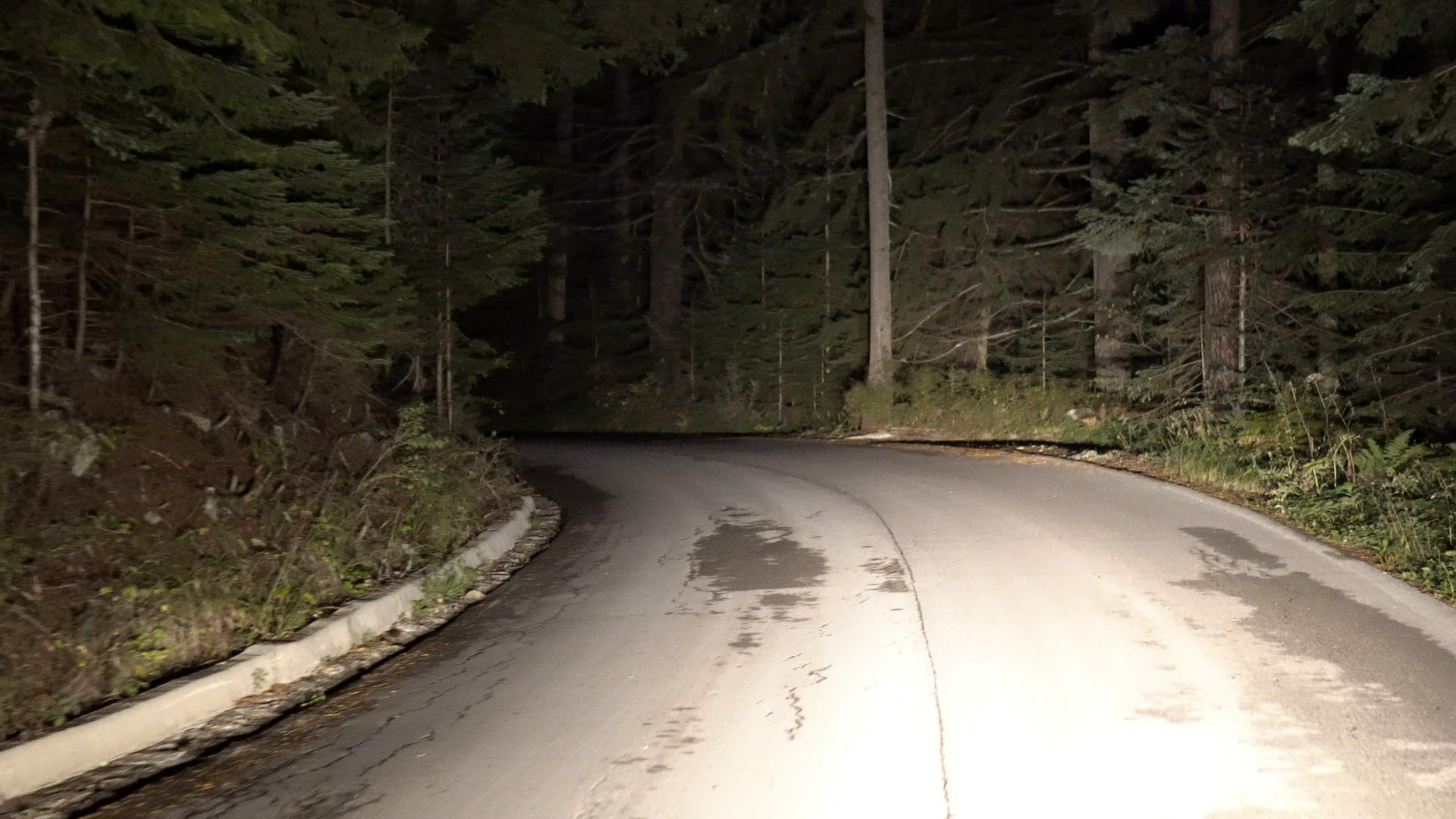 晚上在山上的森林里开车视频的预览图