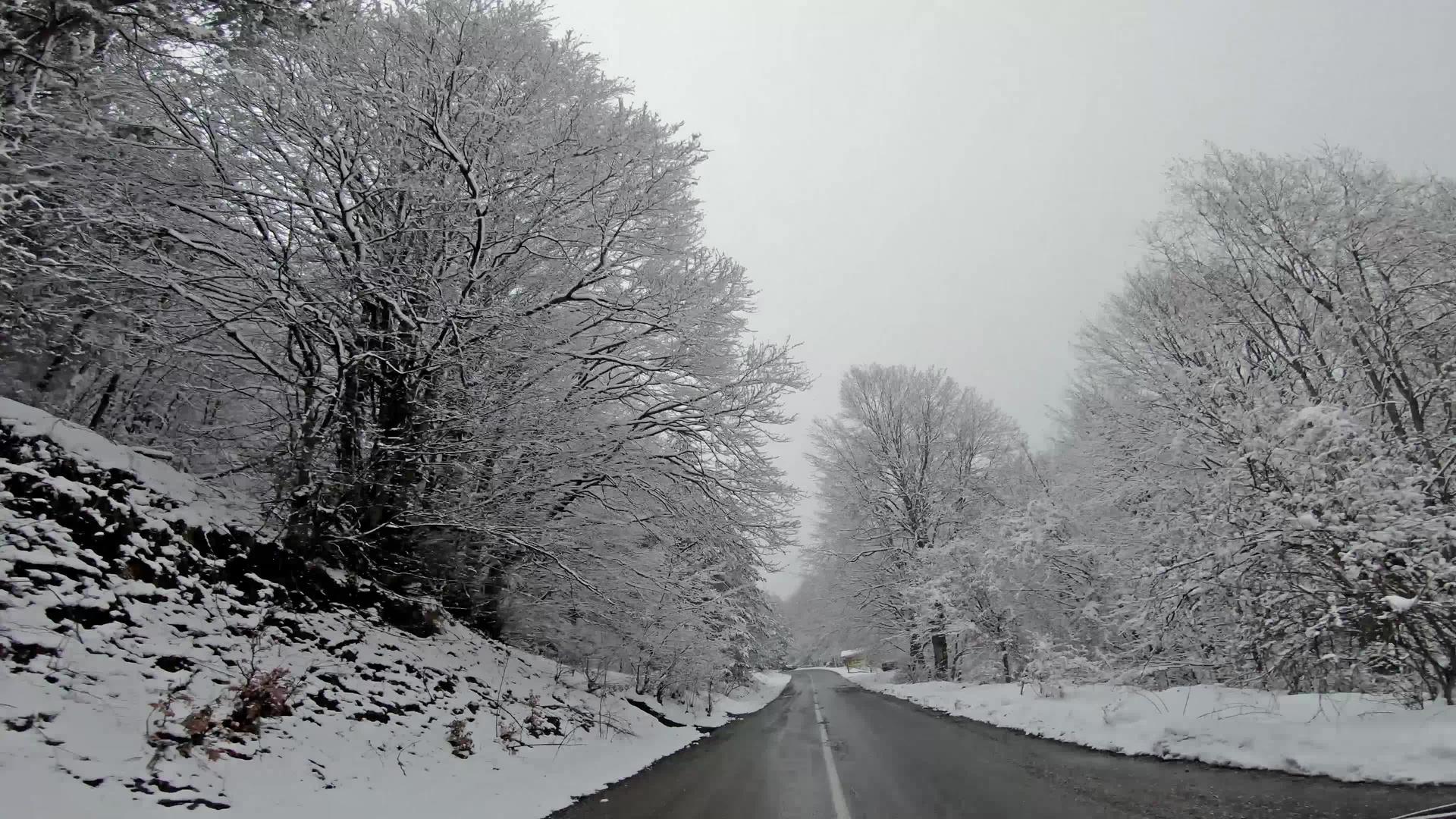 冬季运动车在农村道路和有雪的松树之间视频的预览图