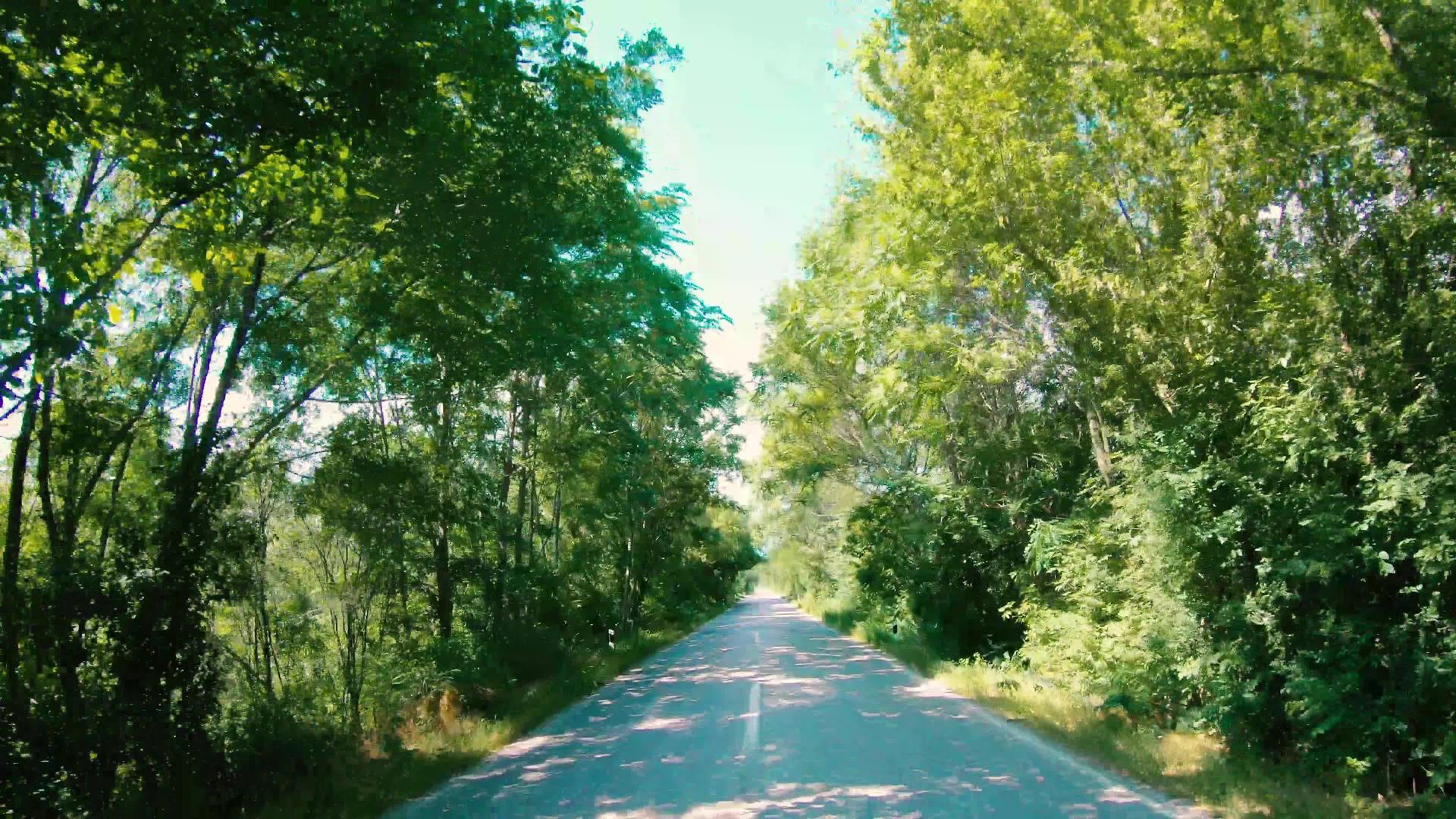农村道路在树道前面视频的预览图