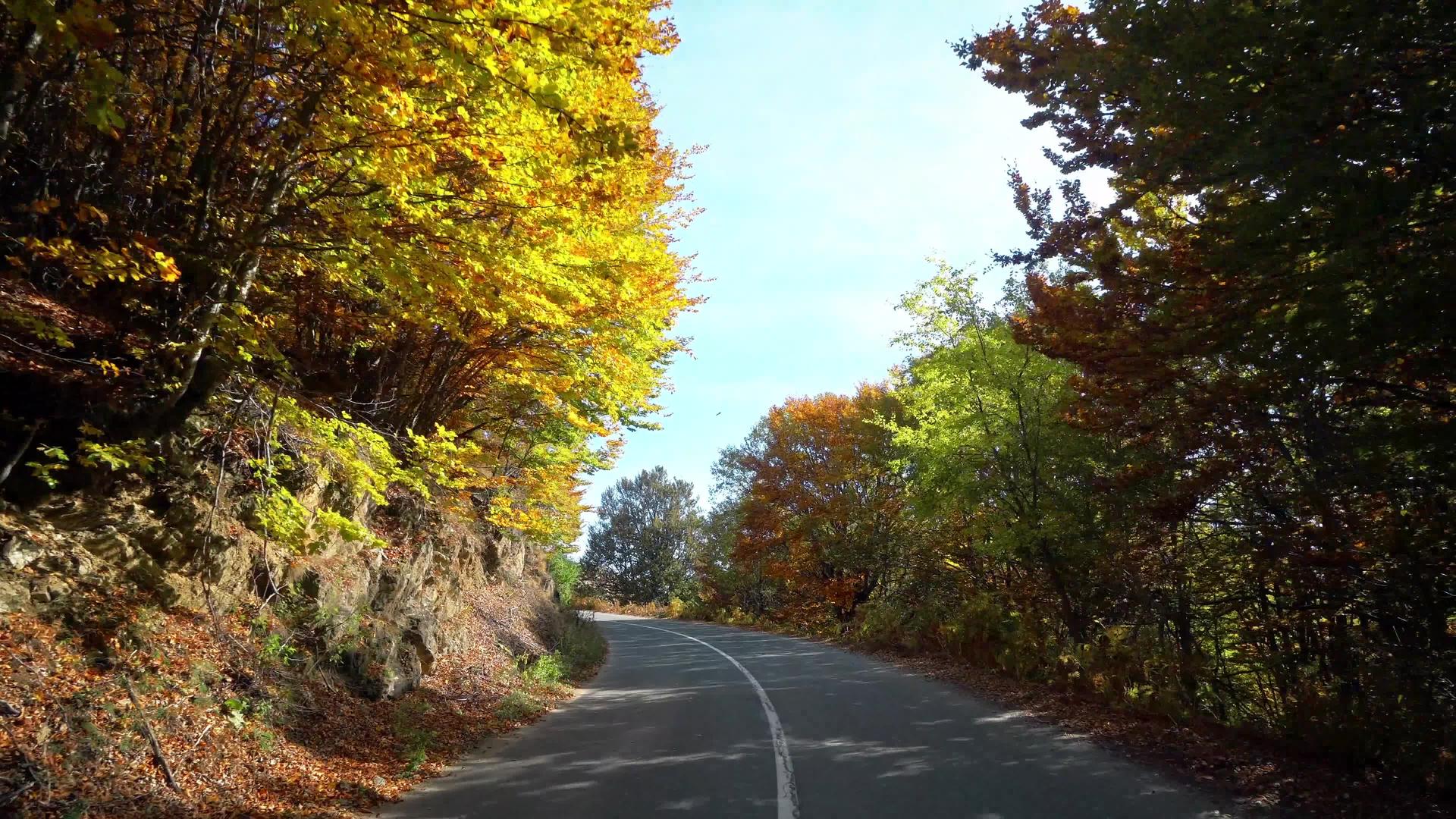 秋天大角度的山上绕道视频的预览图