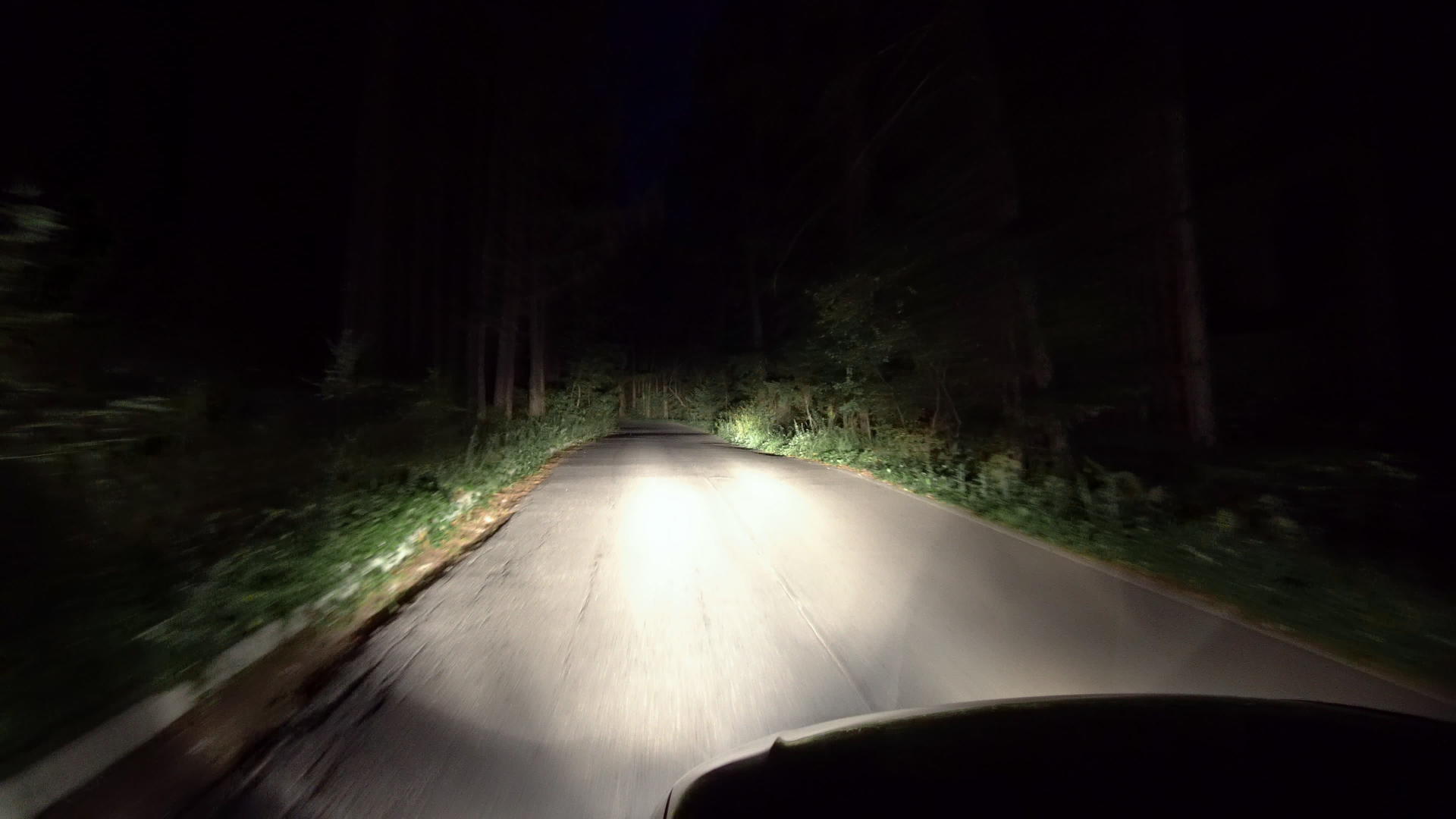 黑暗森林的夜路视频的预览图
