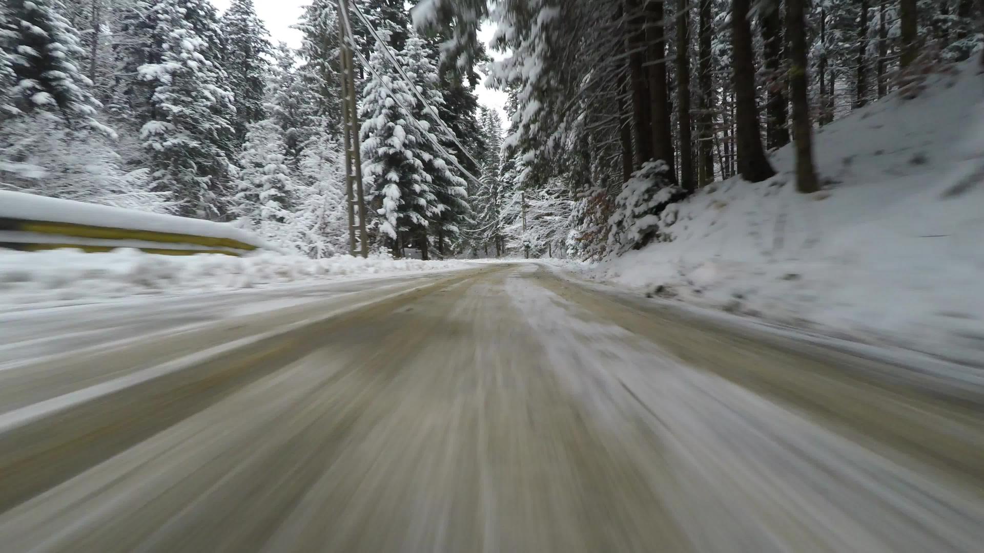 在美丽的冬季森林驾驶雪白圣诞树前保险杠照相机视频的预览图
