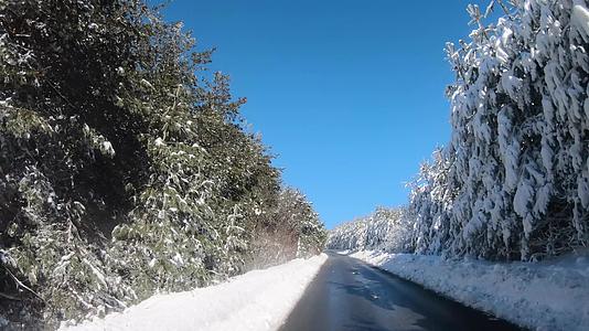 冬天沿着森林道路行驶的汽车在雪地乡村道路上驾驶视频的预览图
