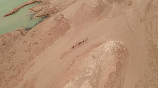 风蚀地形景观园林骑着骆驼部队视频的预览图