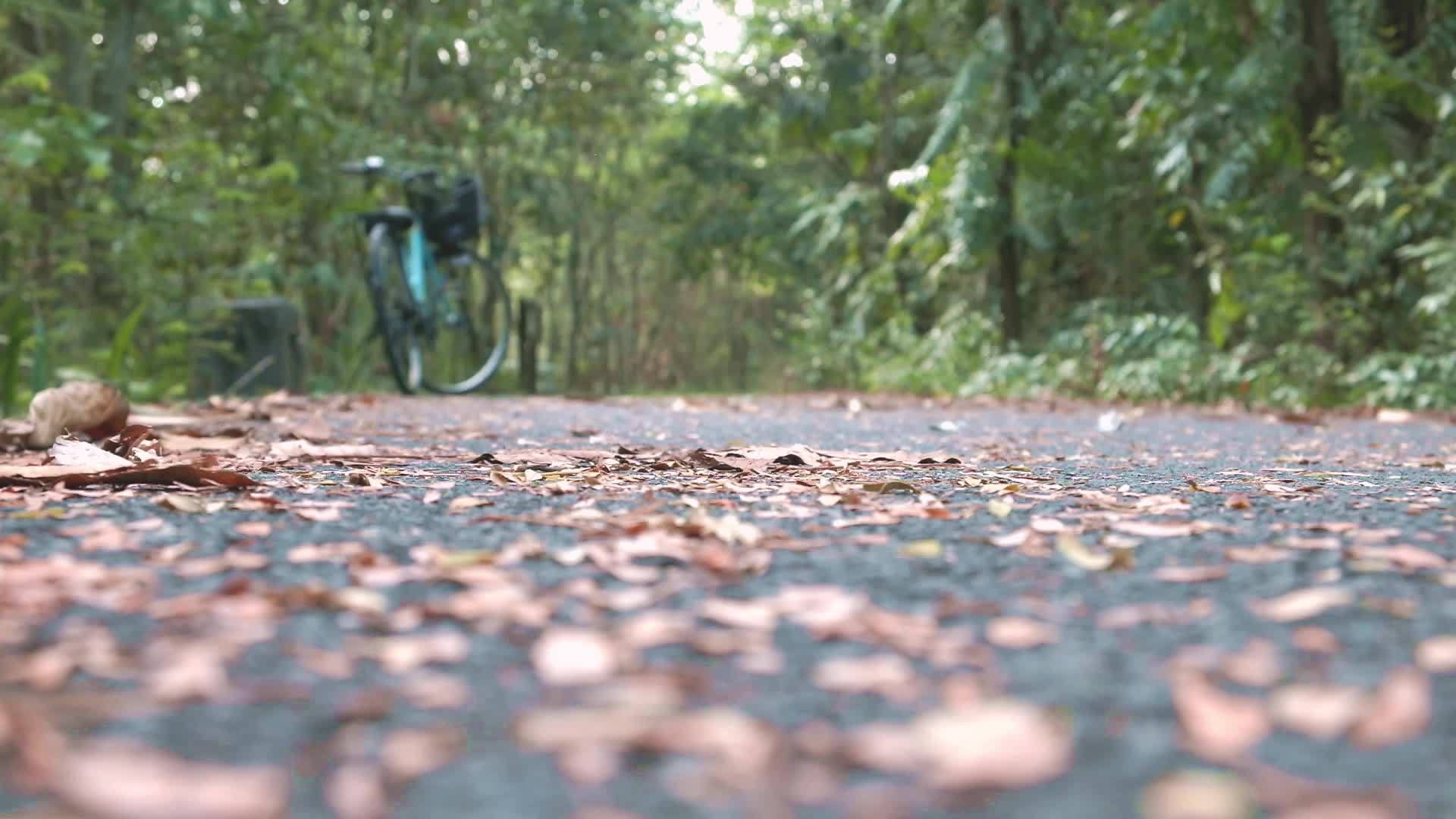 一个人在森林赛道上骑自行车视频的预览图
