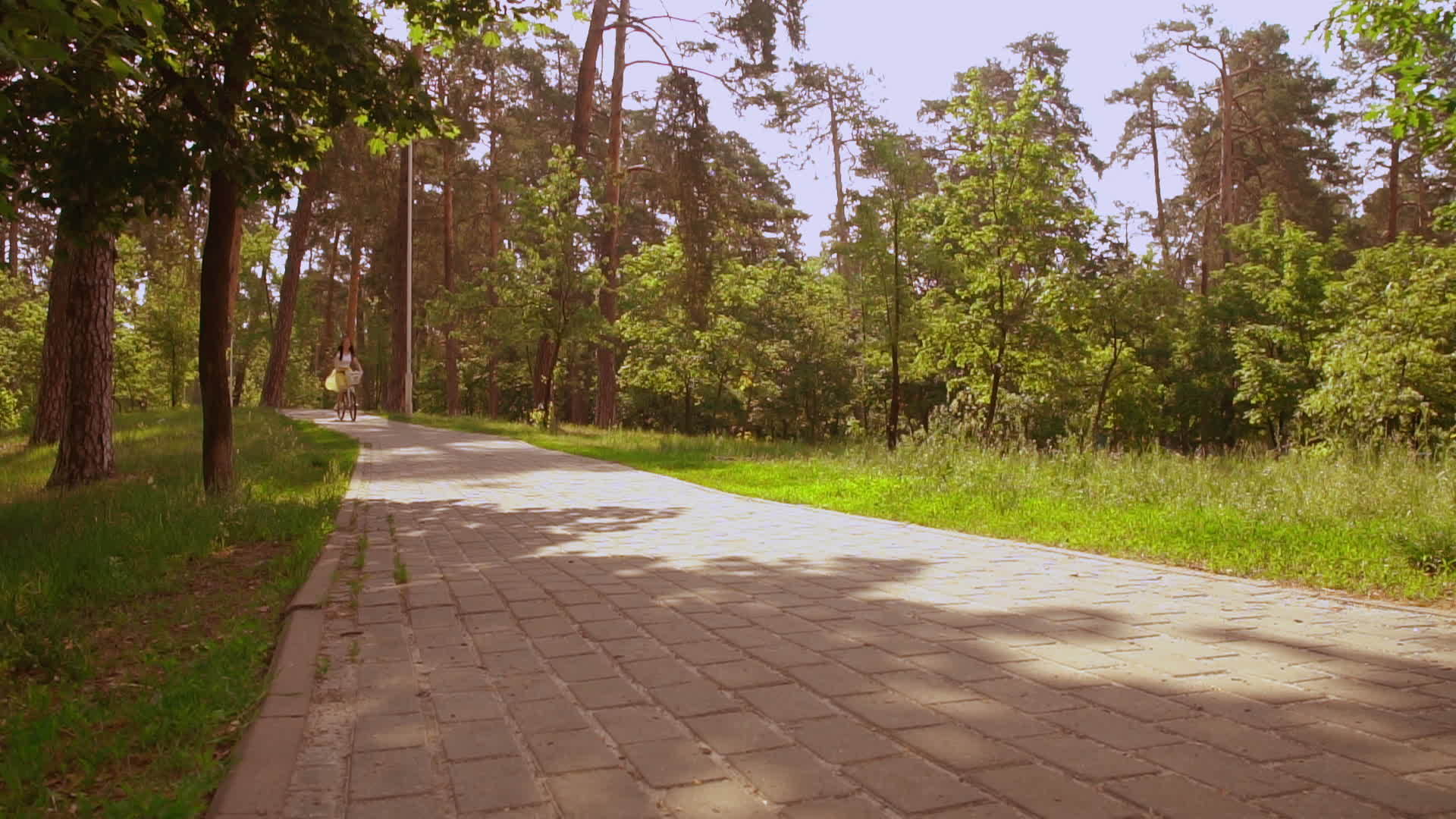 独自骑自行车的女孩视频的预览图