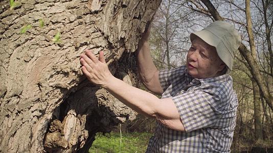 老妇人在一棵大树上爬来爬去对它说话视频的预览图