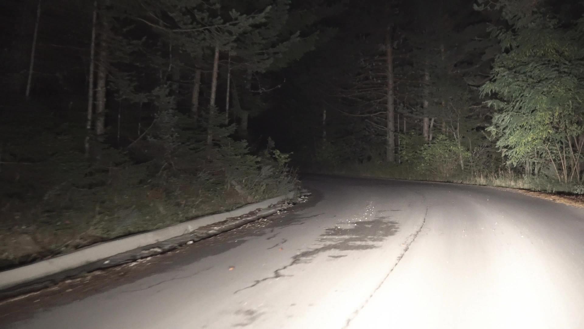 晚上在山上的乡村道路上开车目标是林林松树视频的预览图