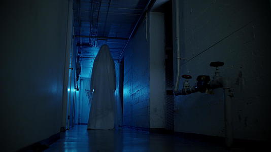 幽灵新娘在恐怖的走廊里视频的预览图