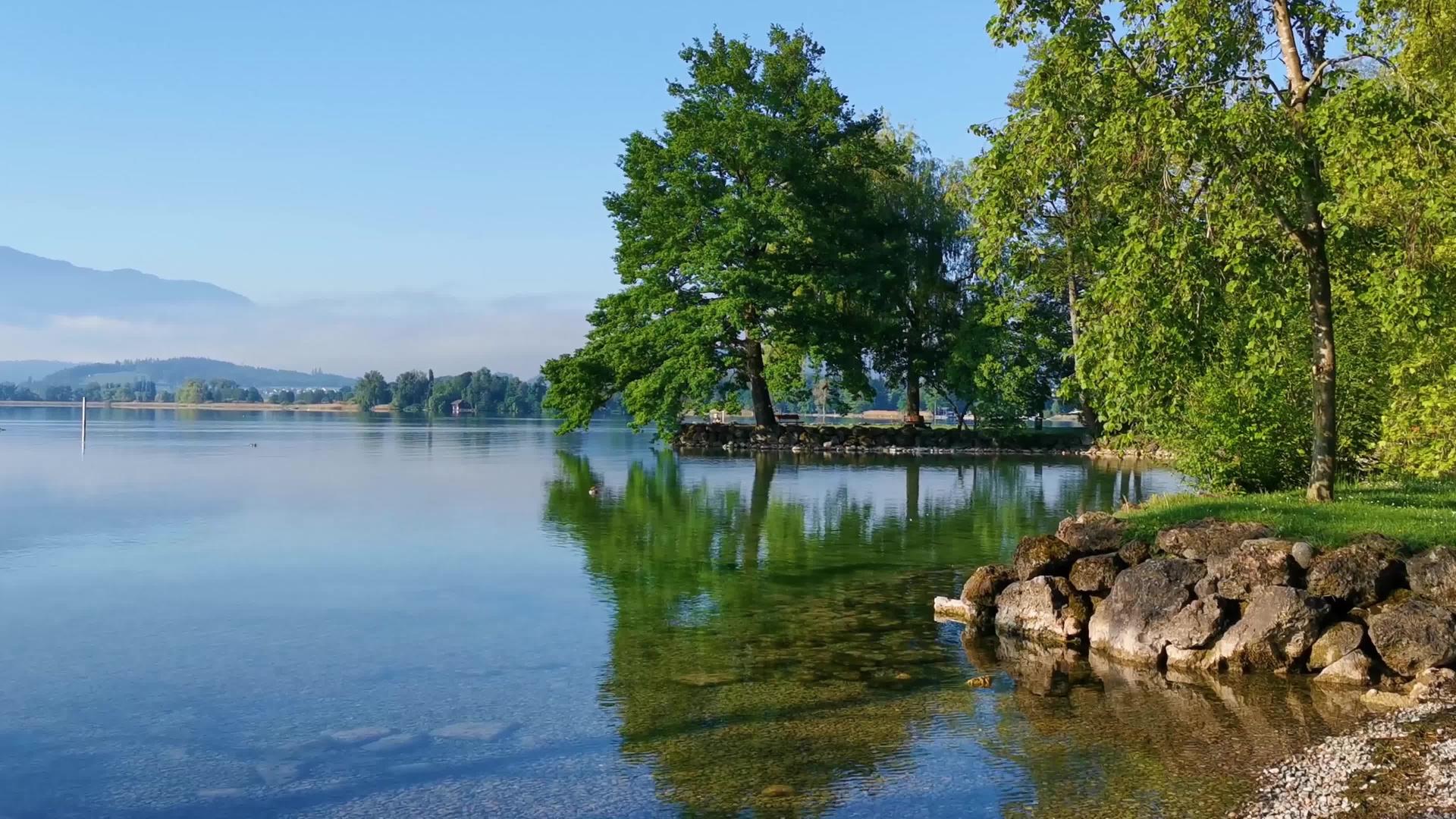 完美的绿色公园和蓝色湖泊瑜伽生活方式在瑞士湖泊附近视频的预览图
