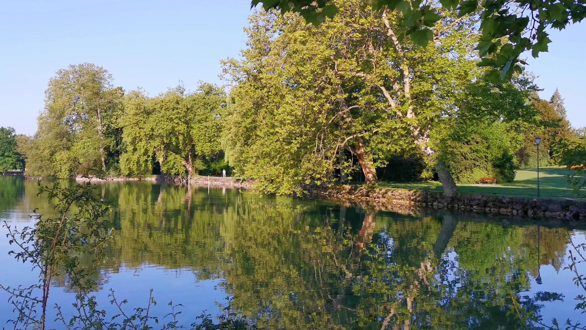 瑞士湖附近的绿色公园视频的预览图