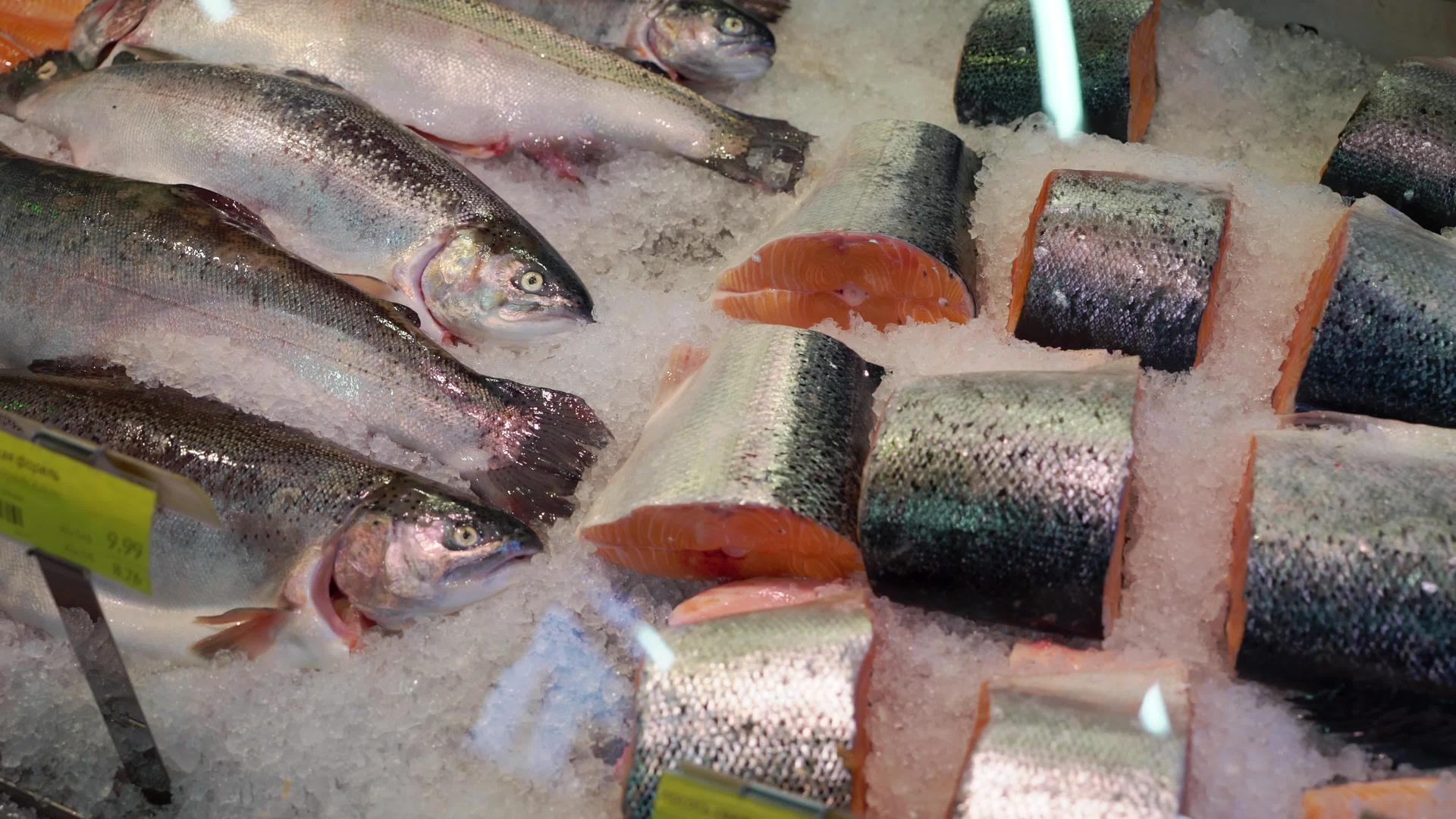 冷冻鱼鲜鱼市场在市场上出售鱼和三文鱼在冰上新鲜视频的预览图