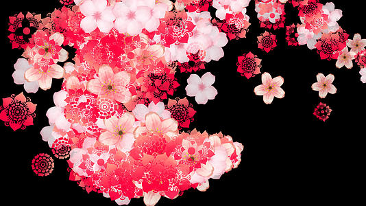 多彩花瓣花朵粒子转场视频的预览图