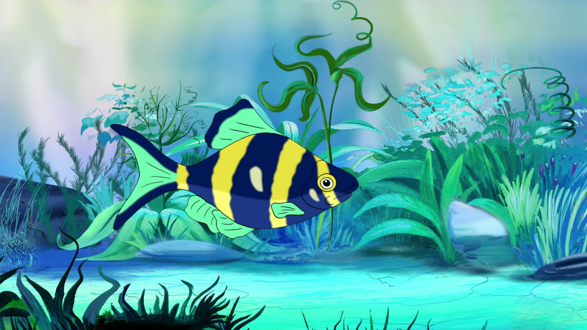 蓝黄水族馆鱼视频的预览图