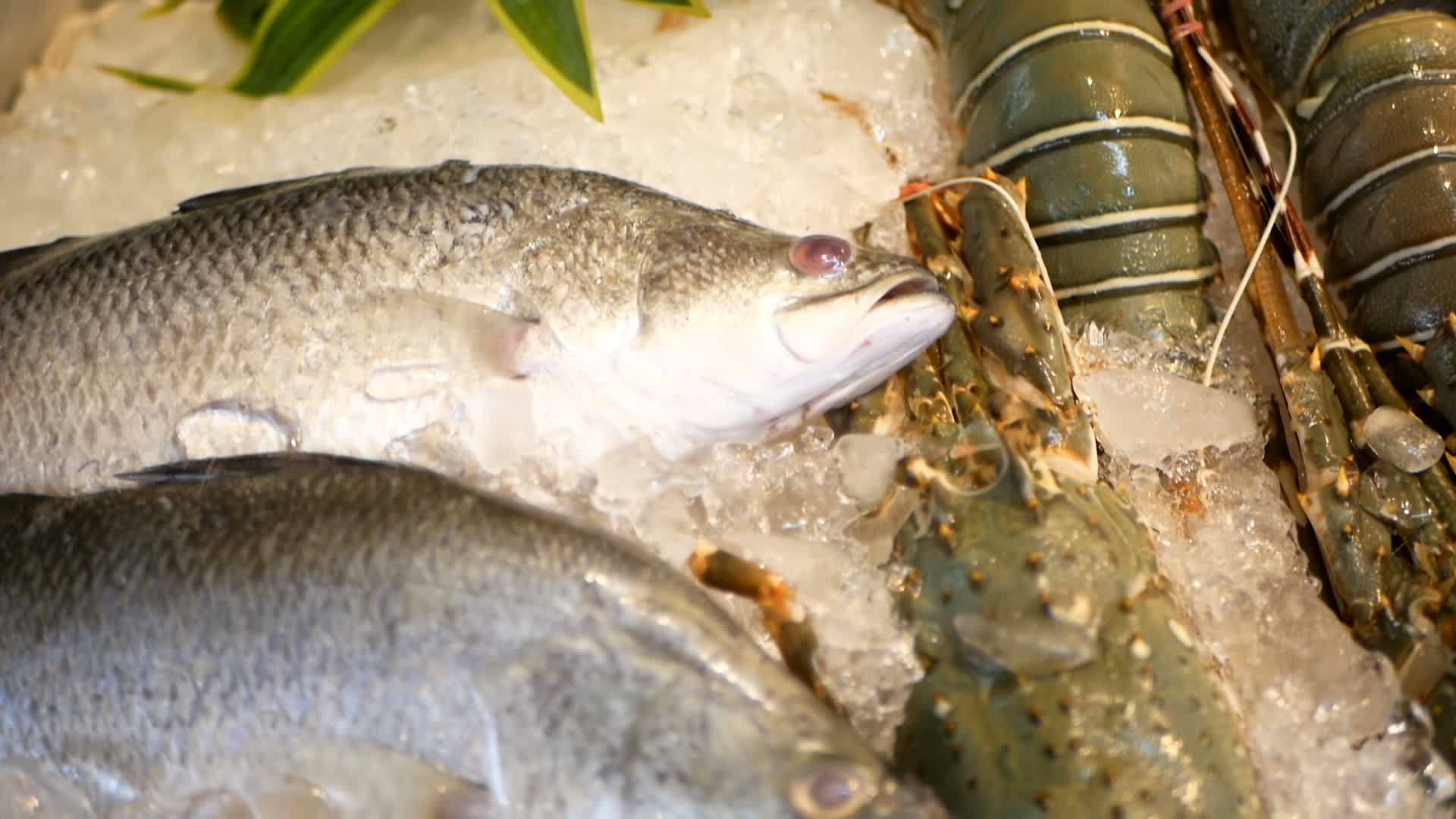 银冰鱼躺在冰上豪华海洋食品餐厅的活菜单视频的预览图