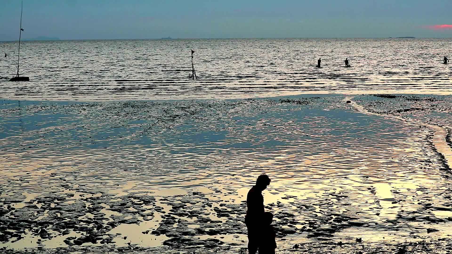 人们在日落和飙升时休眠后在海滩上行走视频的预览图