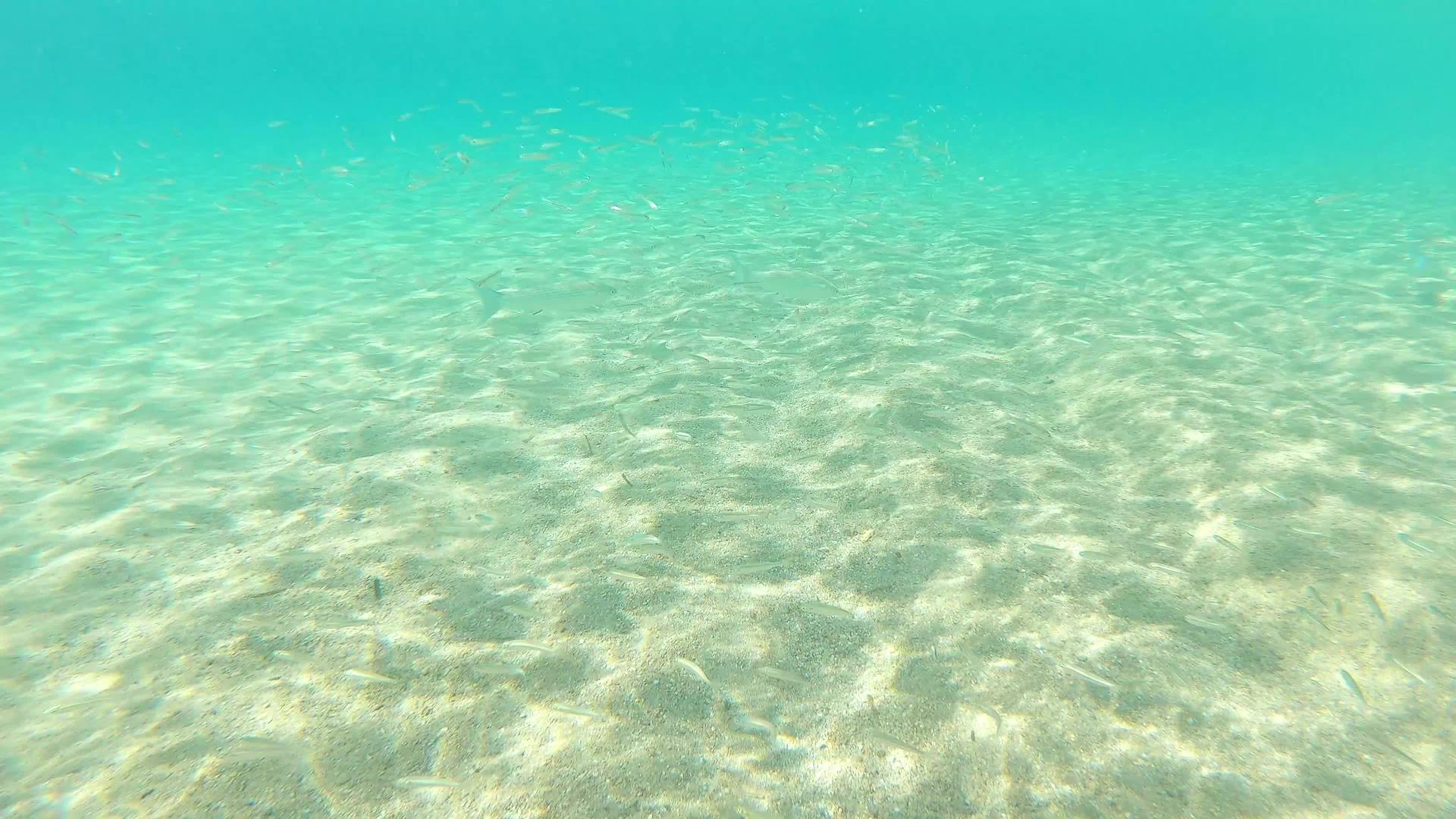 西班牙海滩上透明的蓝色水的昂贵成本abrava手持视频的预览图