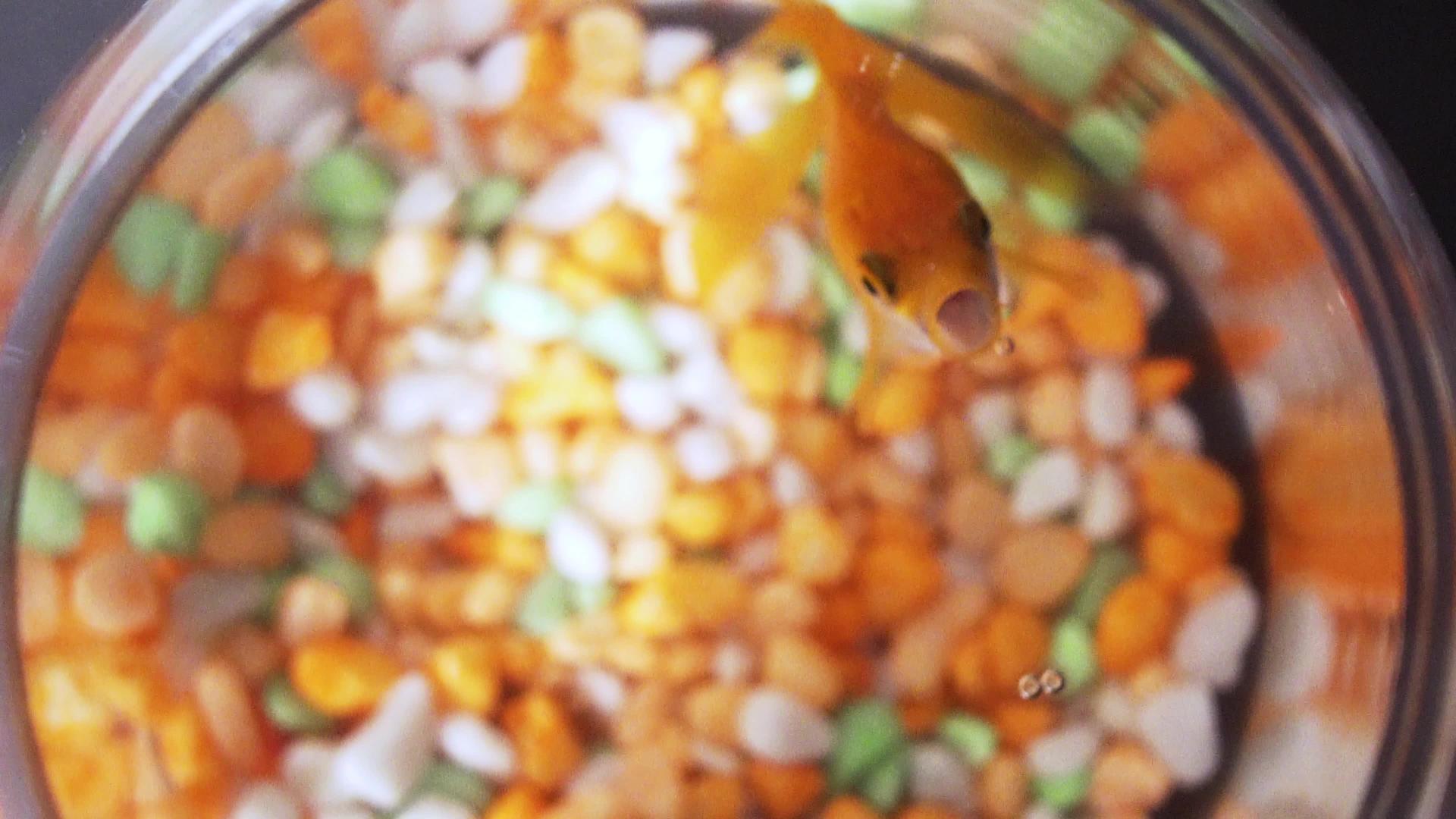 金鱼在水中游泳反射在水族馆的玻璃上视频的预览图