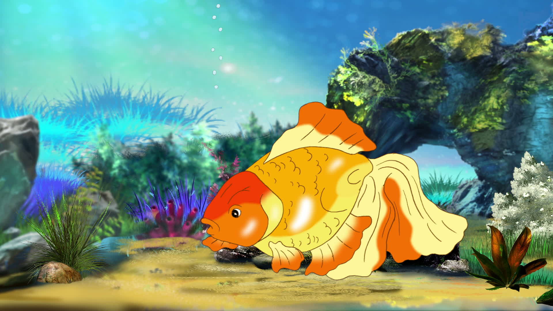 金鱼漂浮在水族馆里视频的预览图