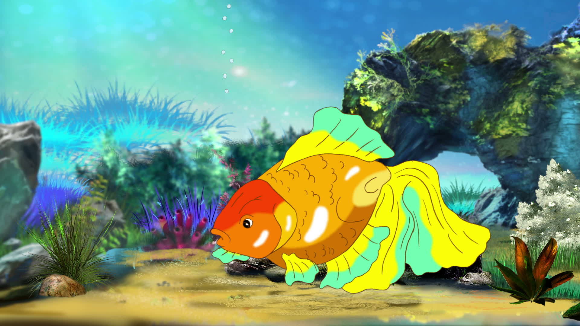 多彩的金鱼漂浮在水族馆里视频的预览图