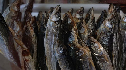 咸盐熔炼鱼在鱼市柜台上显示视频的预览图