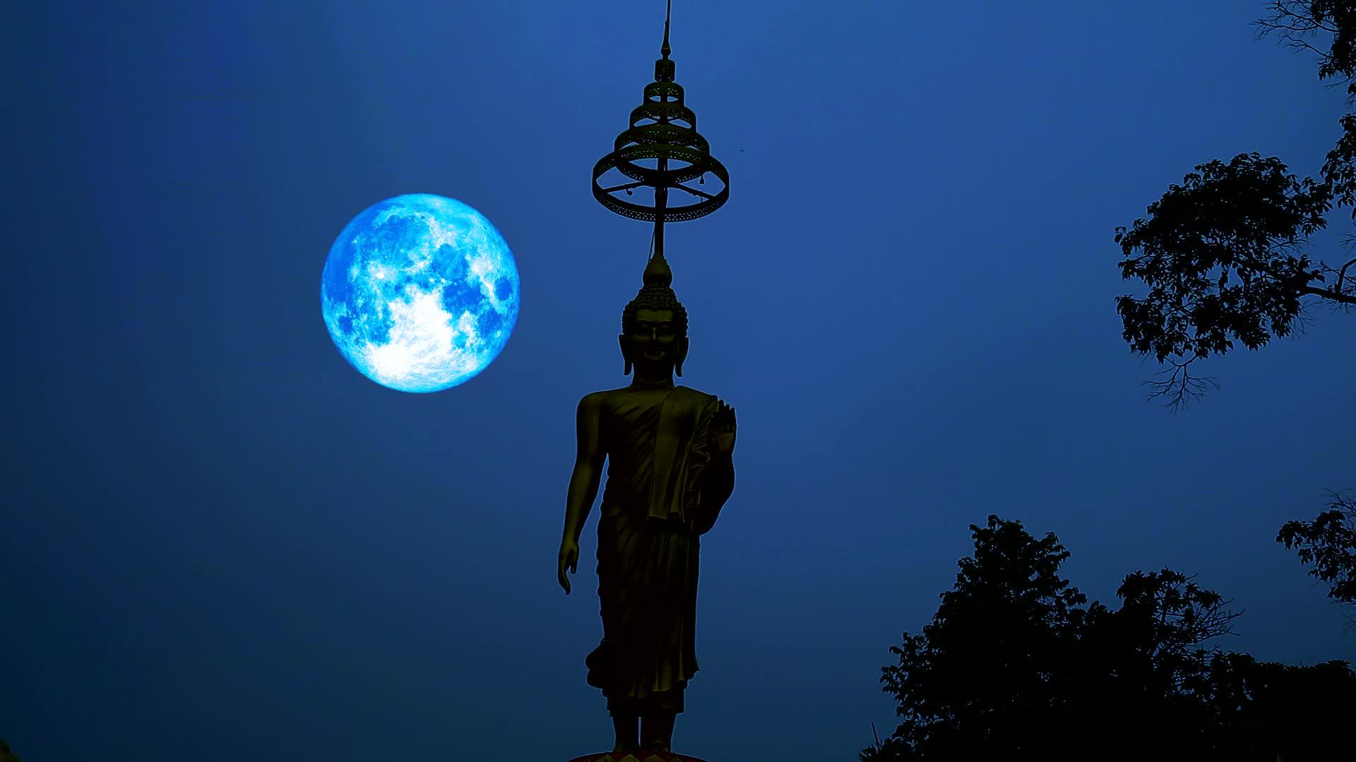 蓝色丰收月在夜空和周光下飘扬视频的预览图