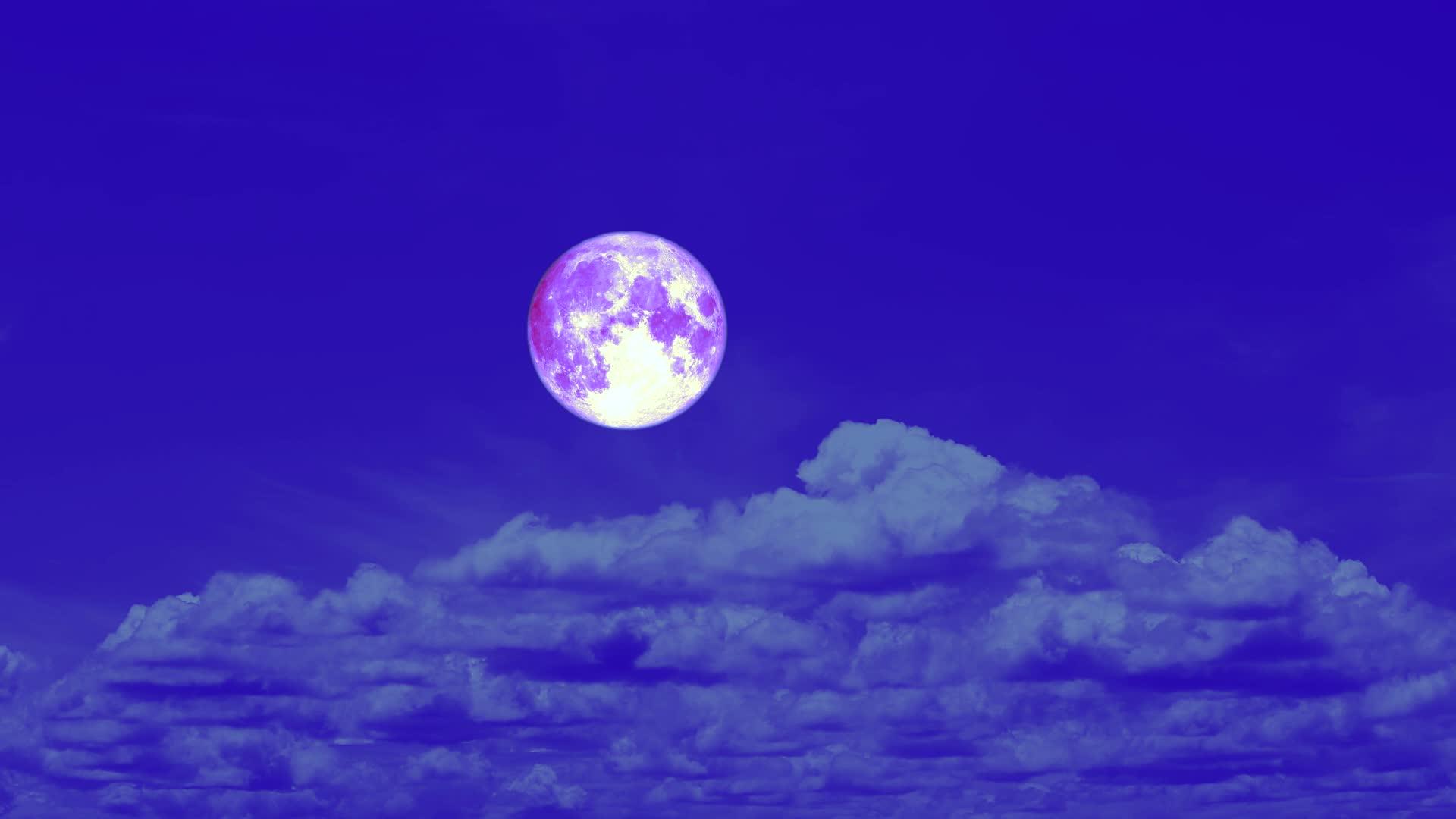 紫色丰收月视频的预览图