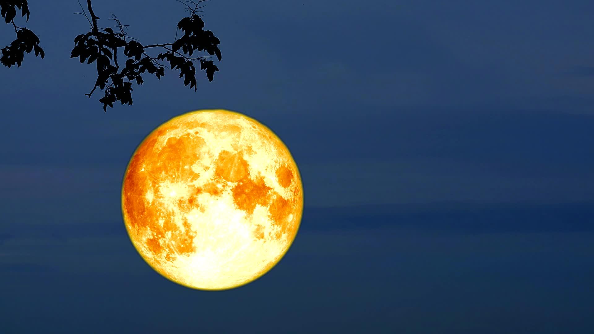 月亮在夜空视频的预览图