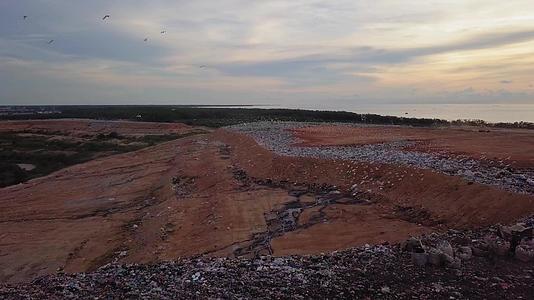 垃圾填埋场上的白色白灰鸟视频的预览图