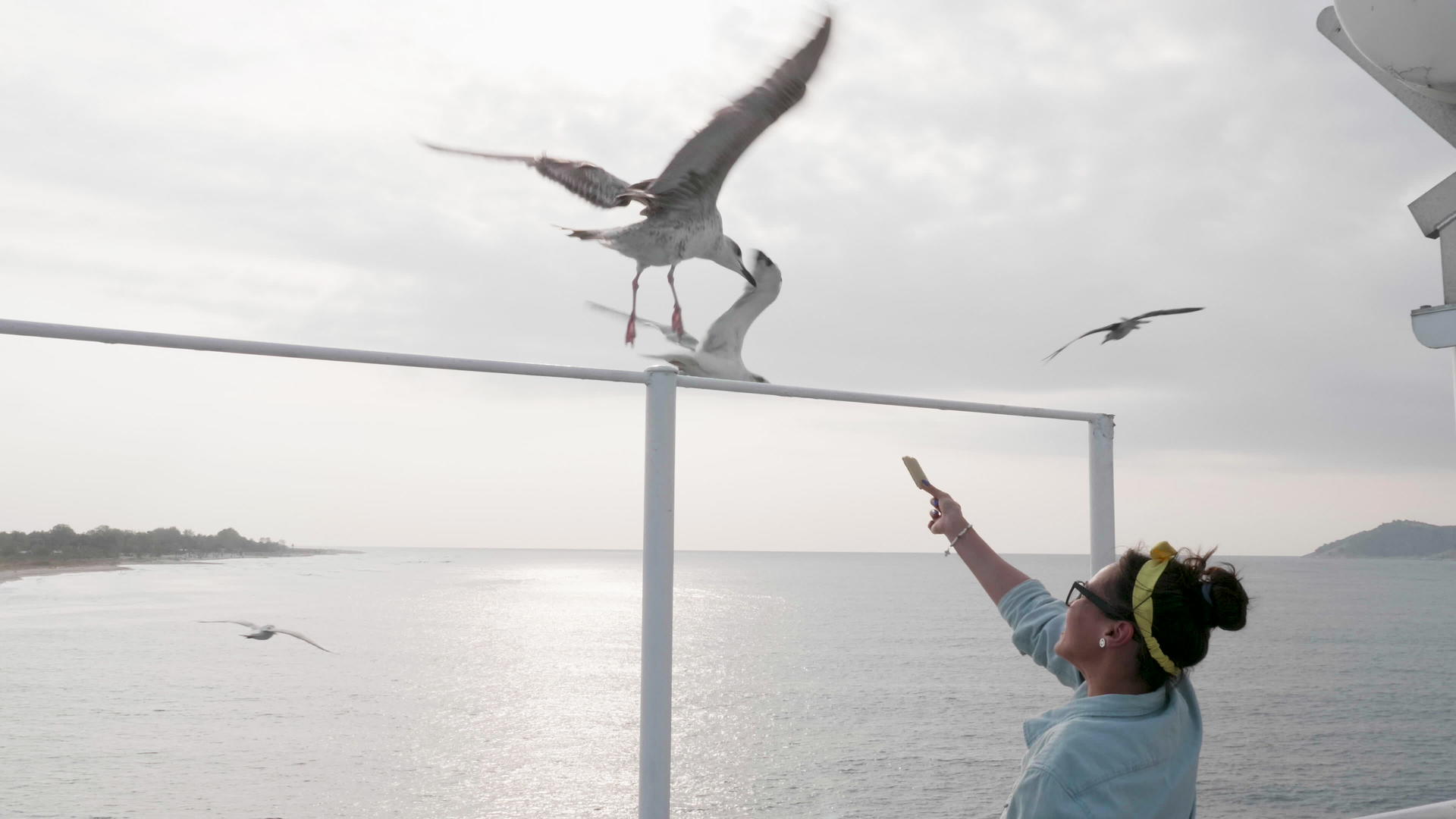 渡船上的海鸥吃美女的食物视频的预览图
