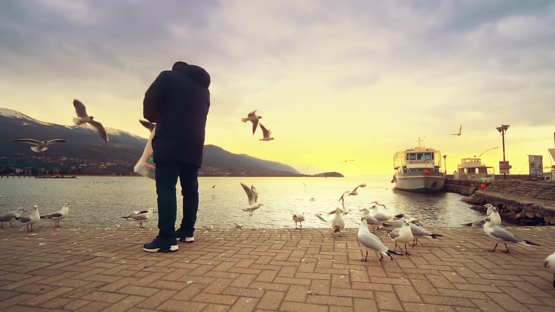 日落时在奥赫里德湖码头吃海鸥的人视频的预览图