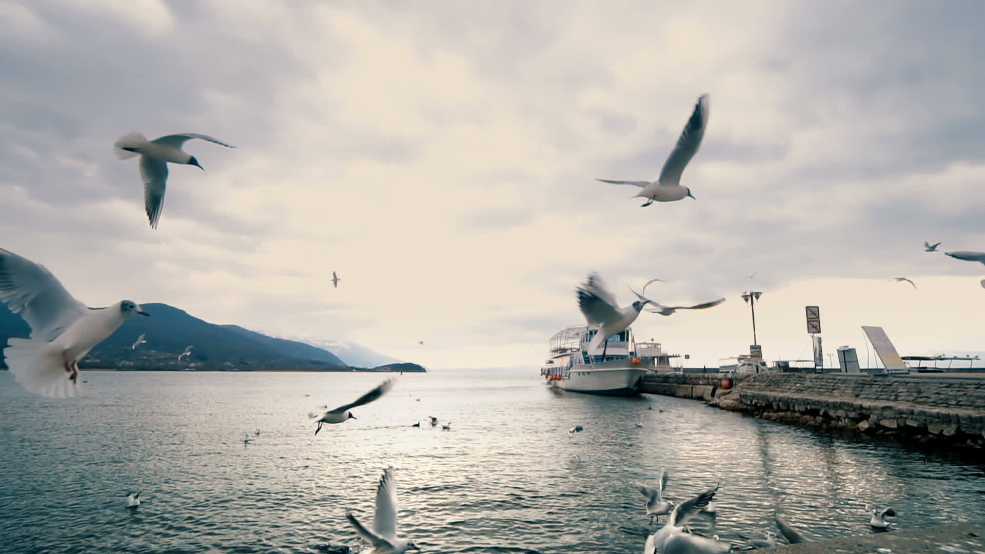 海鸥飞往奥赫里德湖码头视频的预览图